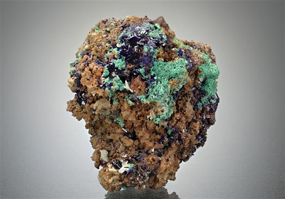 CC12610 specimen image