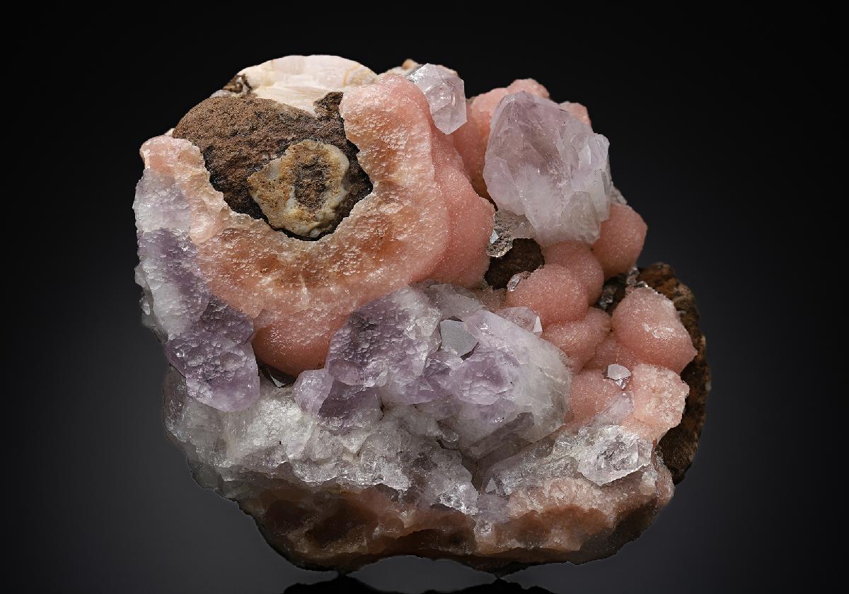CC12611 specimen image
