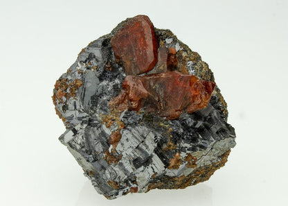 CC12615 specimen image