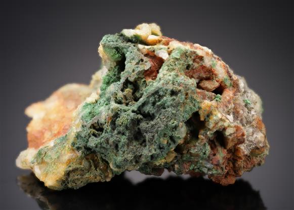 CC12619 specimen image