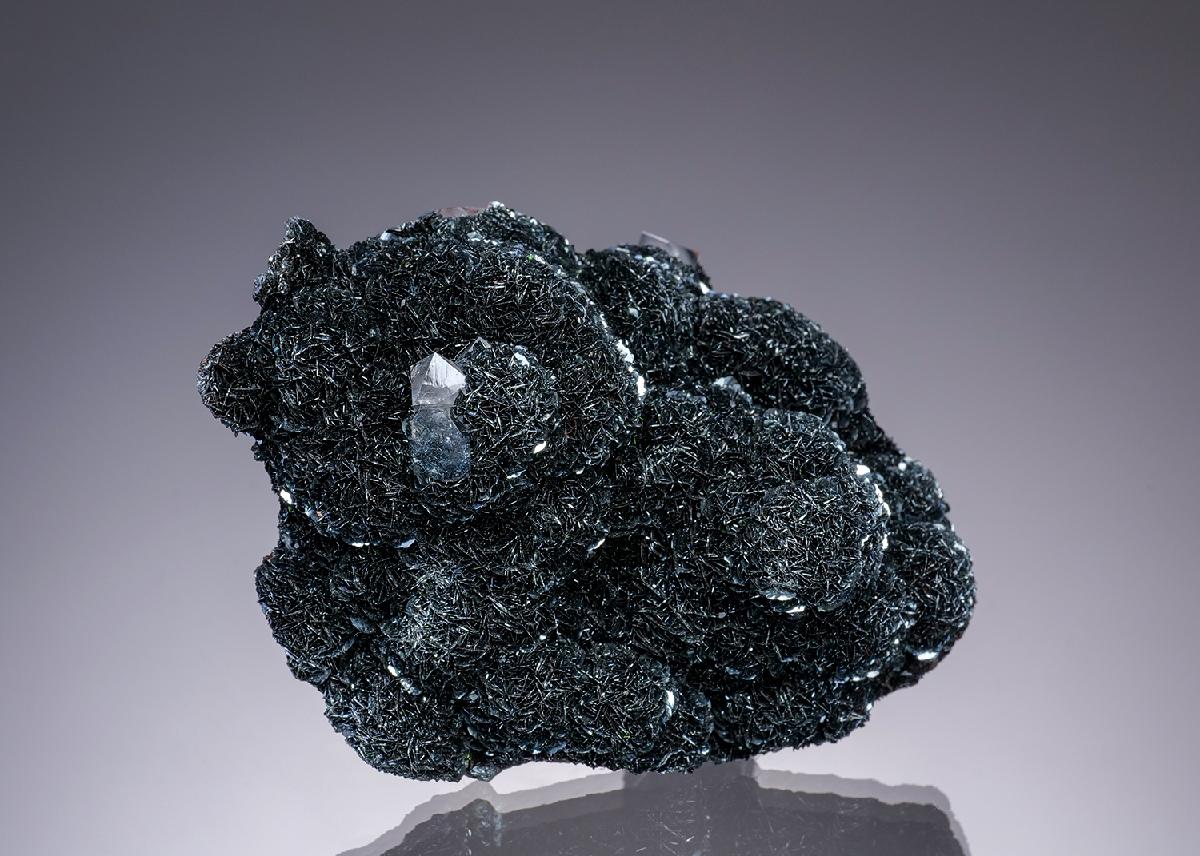 CC12620 specimen image
