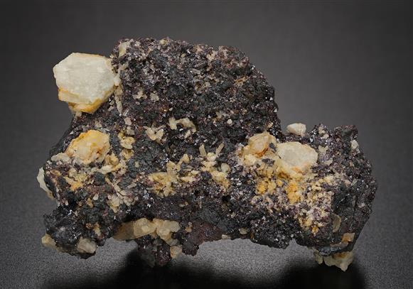 CC12630 specimen image