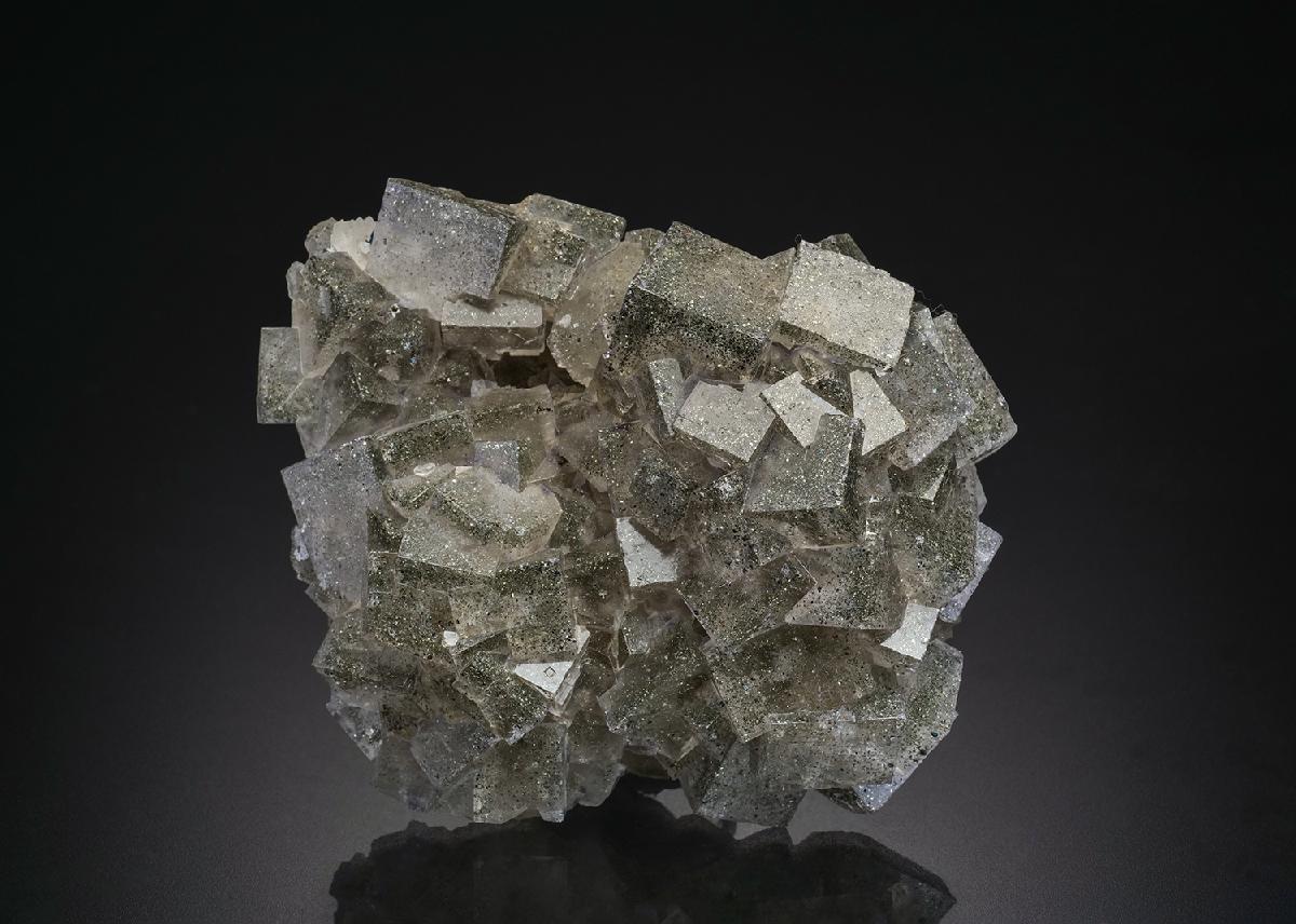 CC12638 specimen image