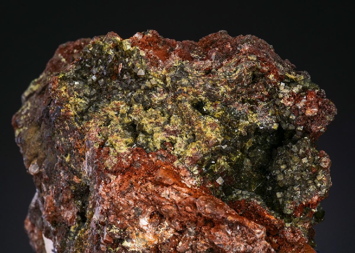 CC12648 specimen image
