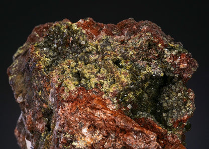 CC12648 specimen image