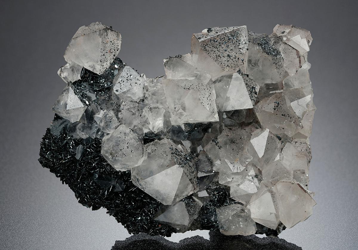 CC12671 specimen image