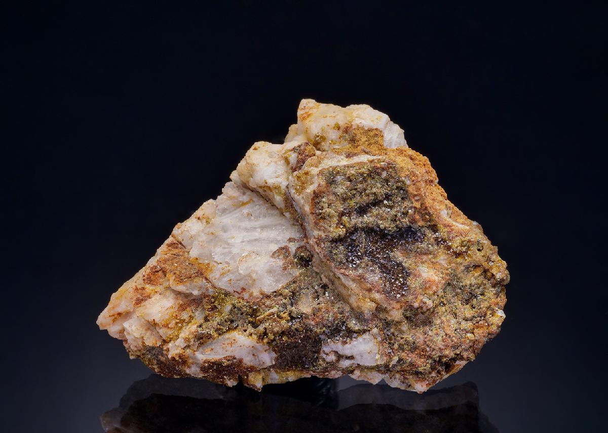 CC12711 specimen image