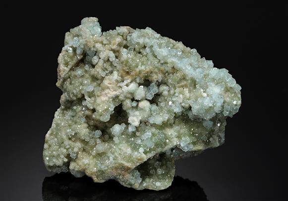 CC12718 specimen image