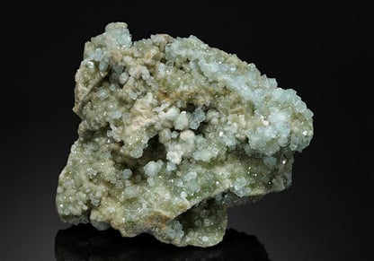 CC12718 specimen image