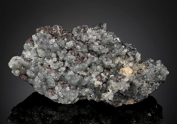 CC12738 specimen image