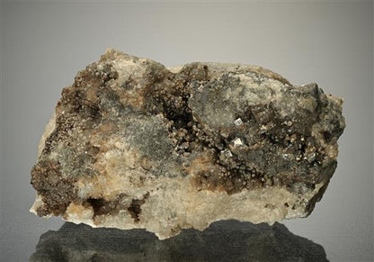 CC12751 specimen image