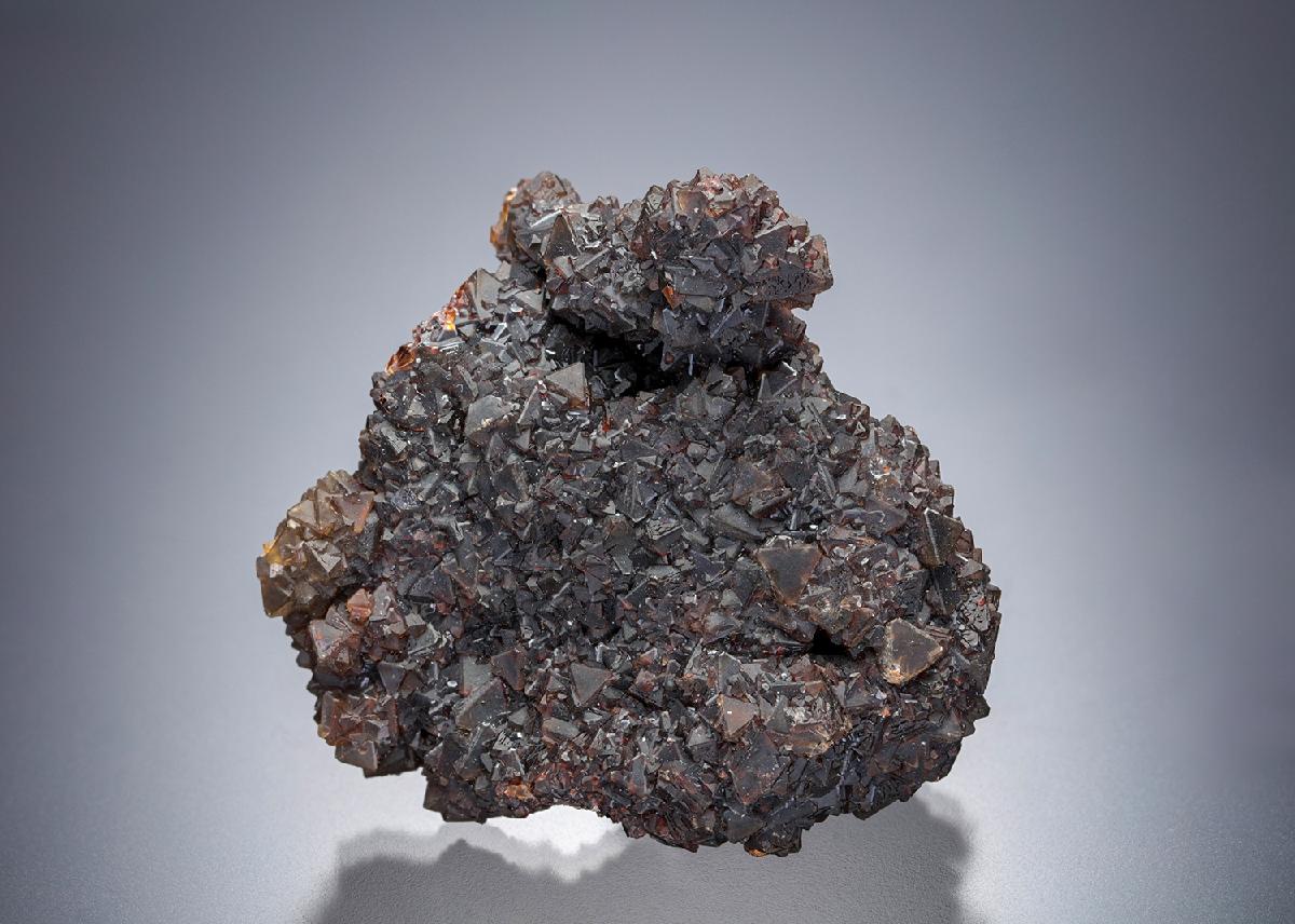 CC12758 specimen image