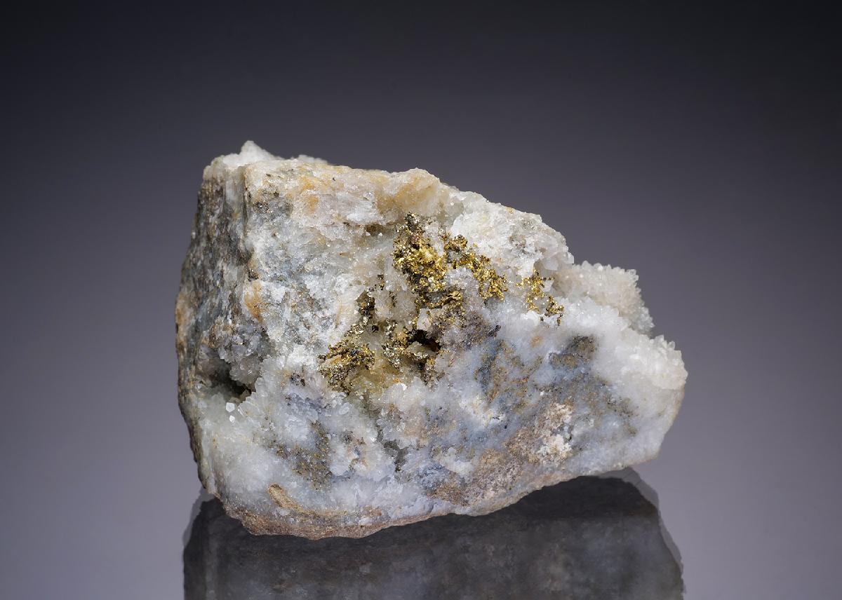 CC12760 specimen image