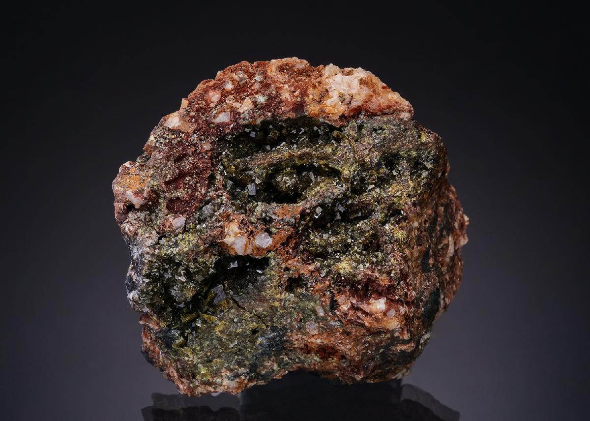 CC12771 specimen image