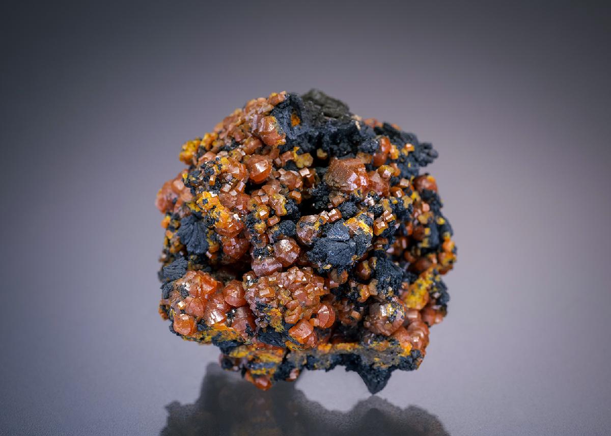 CC12779 specimen image