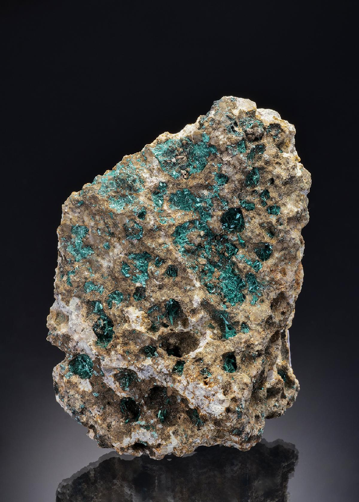 CC12785 specimen image