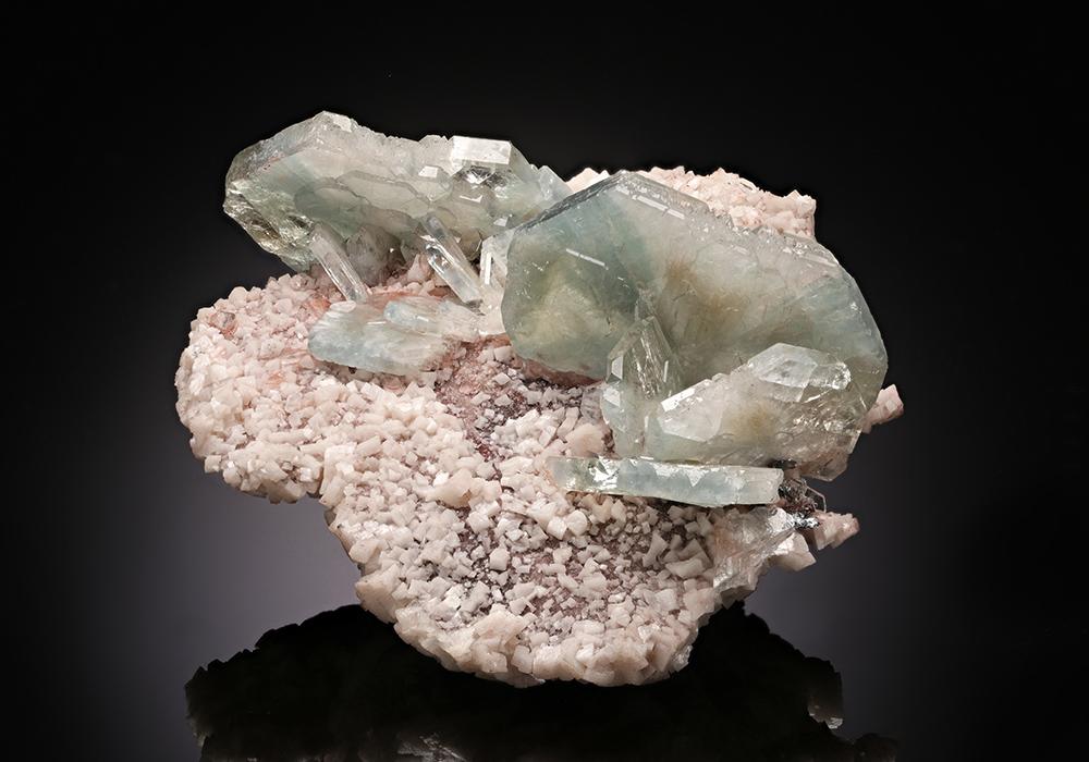CC12786 specimen image