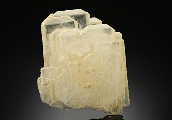 CC12795 specimen image