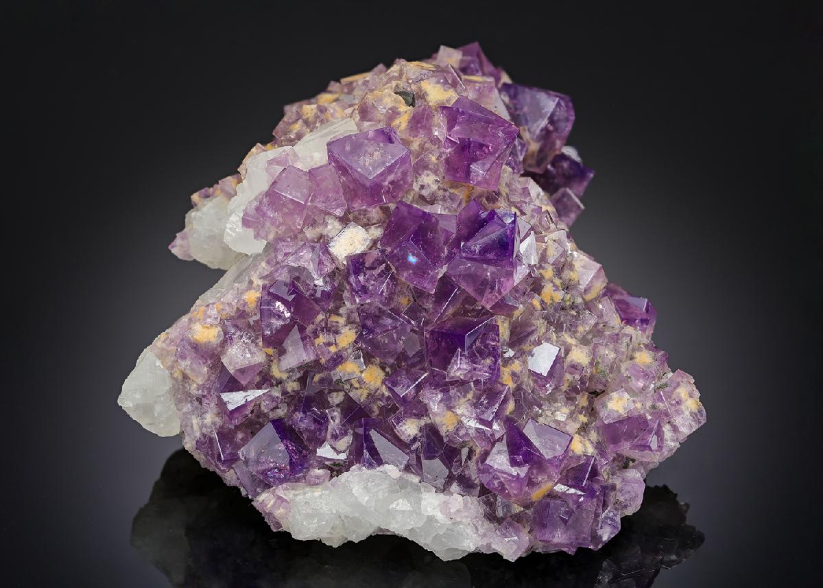 CC12798 specimen image