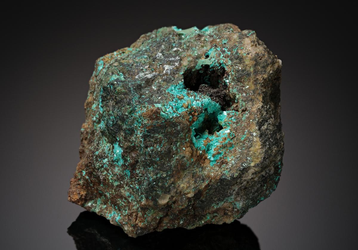 CC12810 specimen image