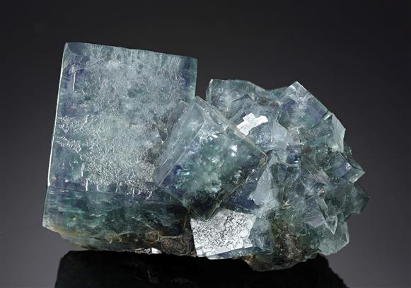 CC12811 specimen image