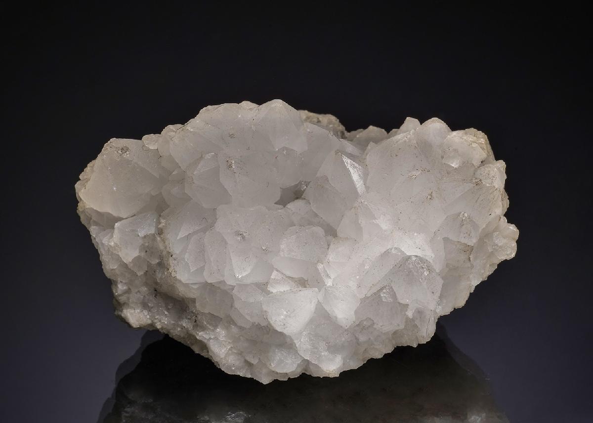 CC12815 specimen image