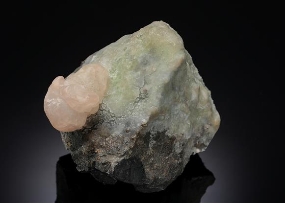 CC12837 specimen image