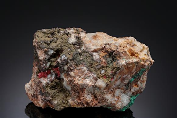 CC12853 specimen image