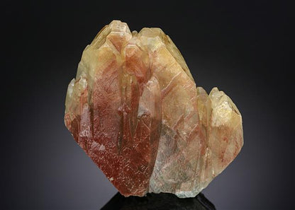 CC12855 specimen image