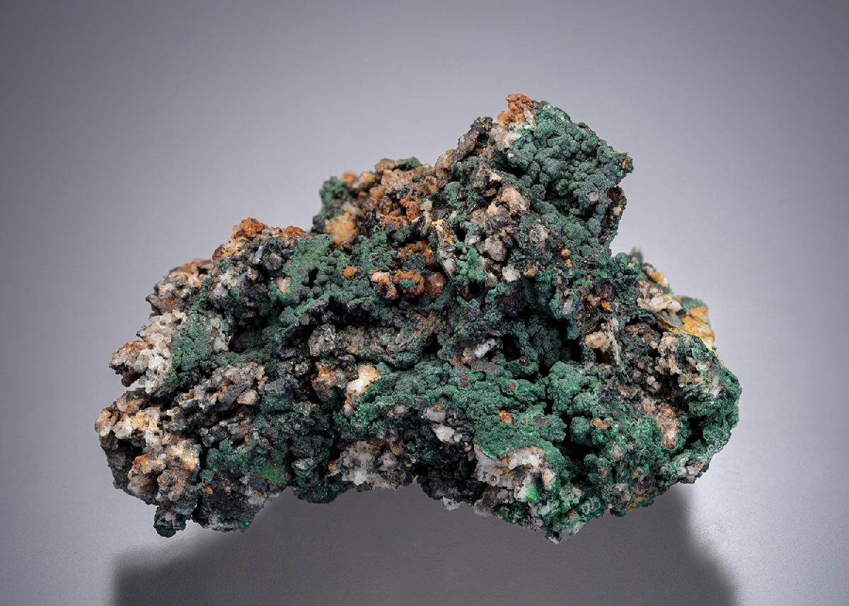 CC12856 specimen image