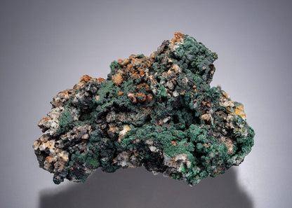 CC12856 specimen image