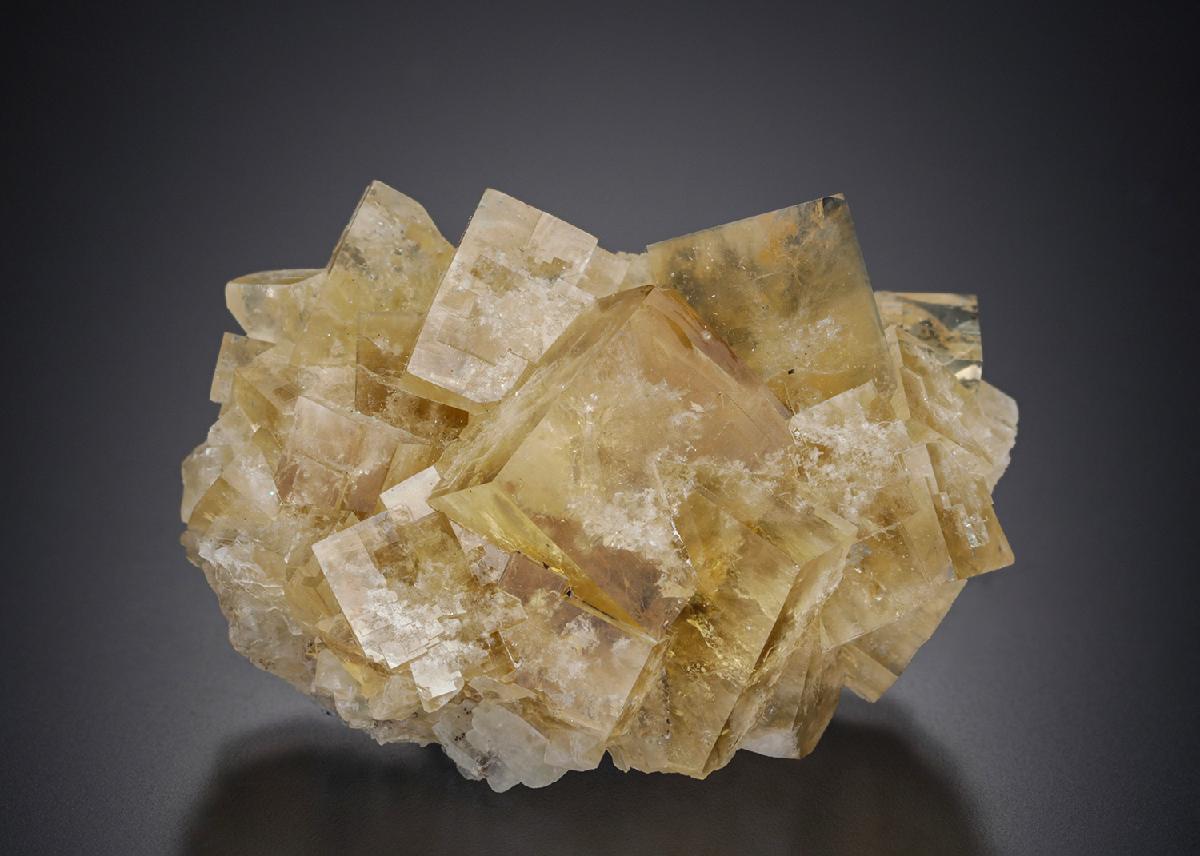 CC12857 specimen image
