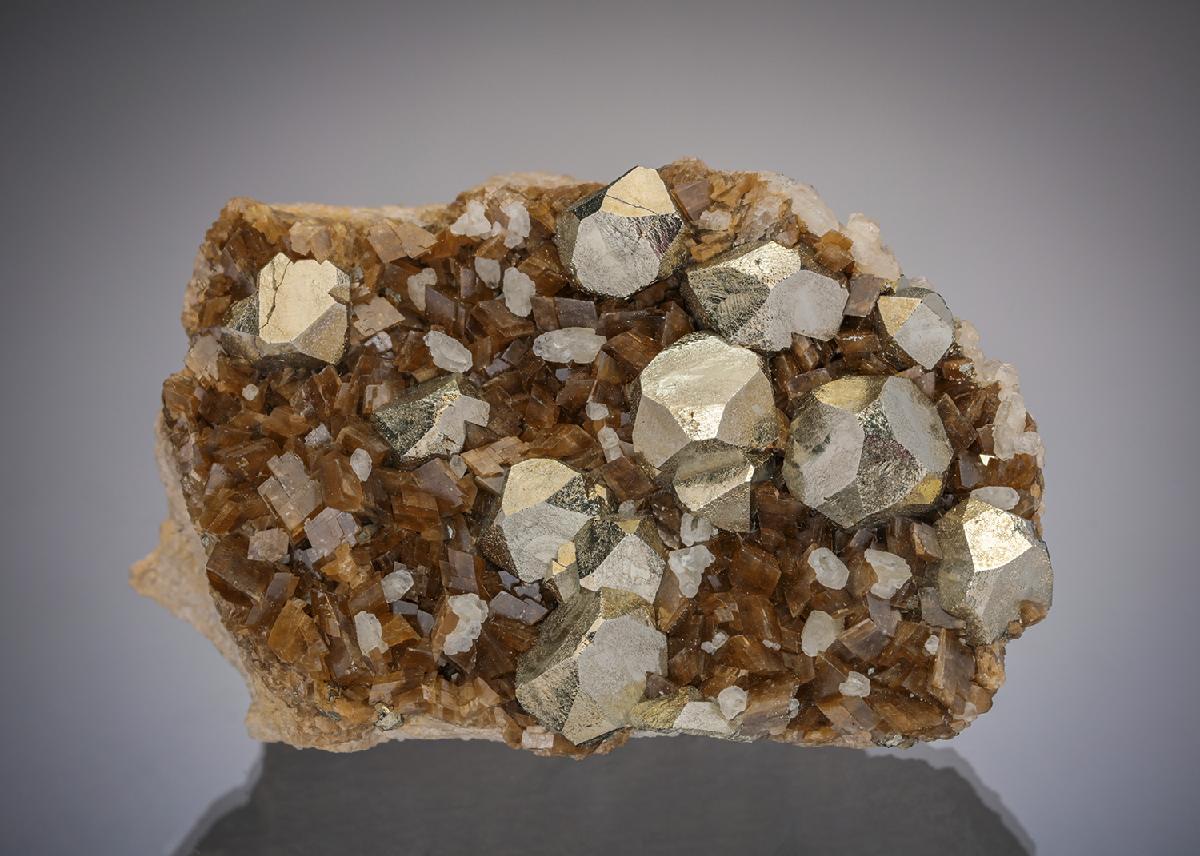 CC12877 specimen image