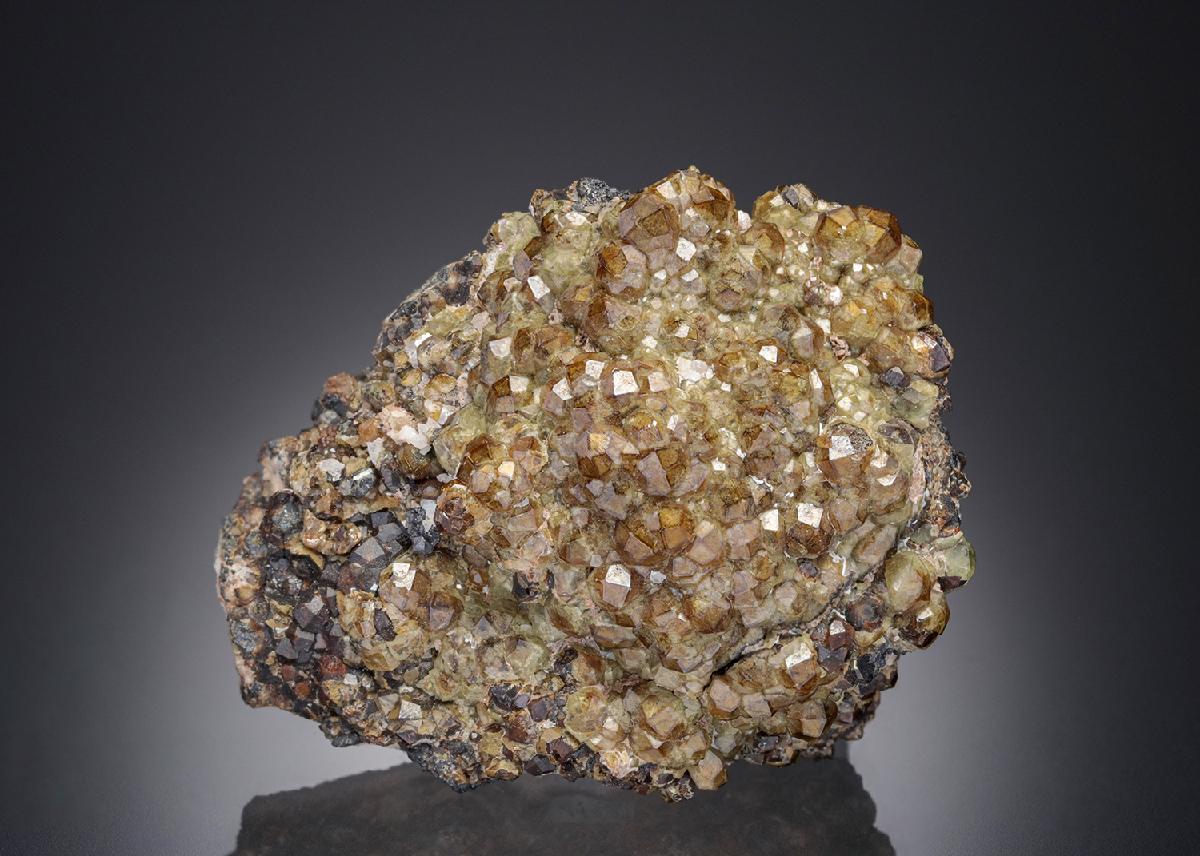 CC12881 specimen image