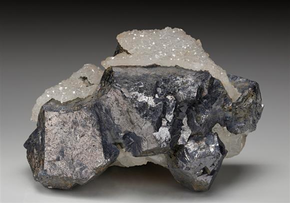 CC12886 specimen image