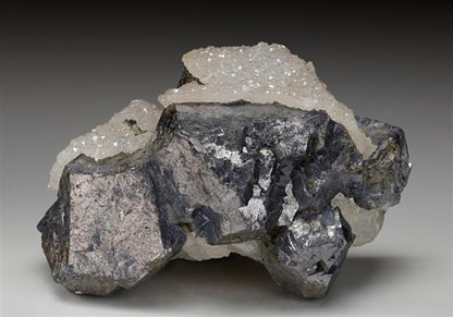 CC12886 specimen image