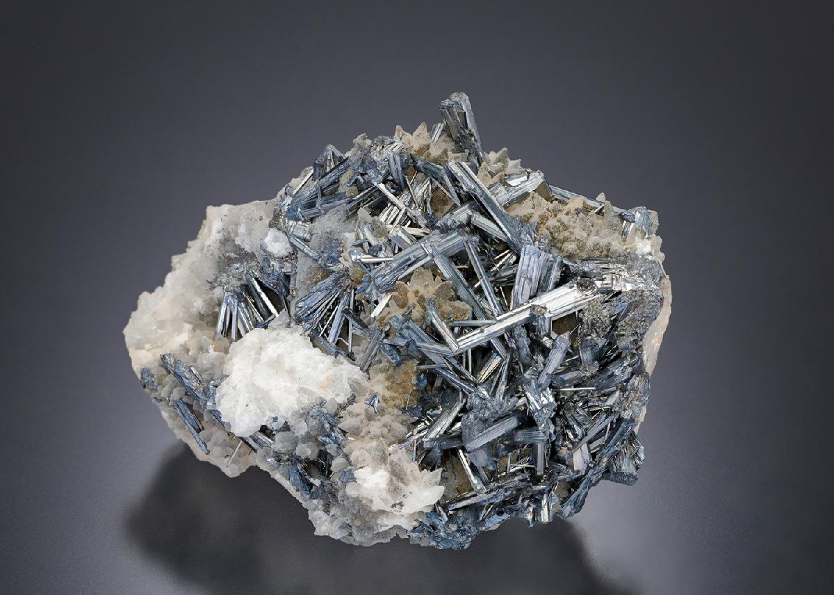 CC12891 specimen image