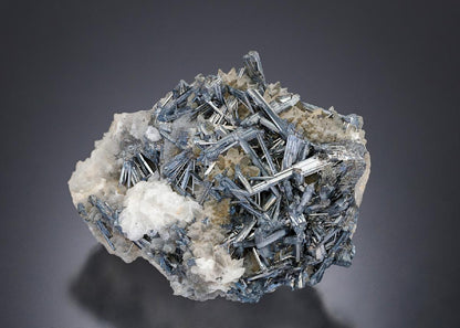 CC12891 specimen image