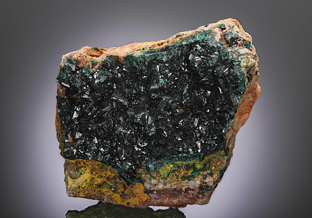 CC12895 specimen image