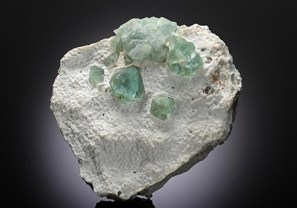 CC12899 specimen image