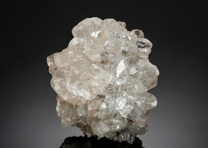 CC12919 specimen image