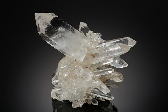 CC12920 specimen image