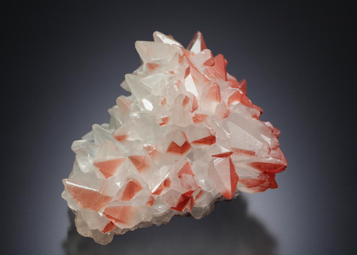 CC12938 specimen image