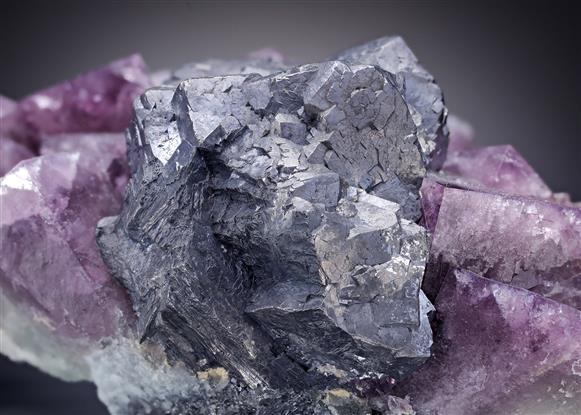 CC12960 specimen image