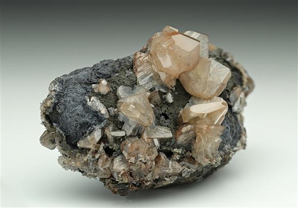 CC12961 specimen image