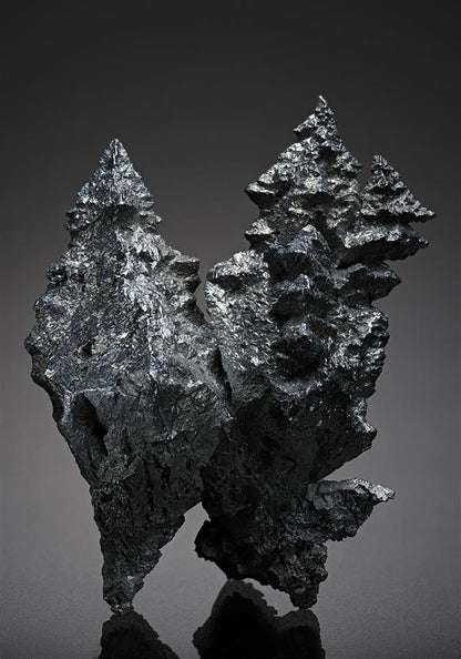 CC12968 specimen image