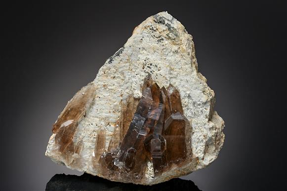 CC12970 specimen image