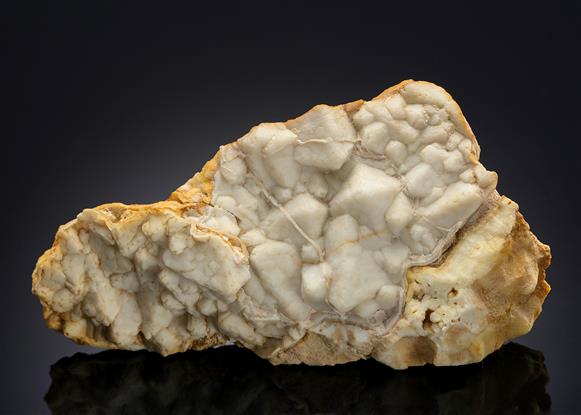CC12975 specimen image