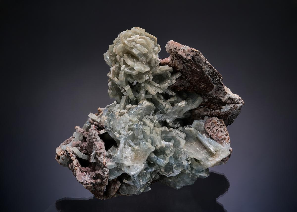 CC12981 specimen image