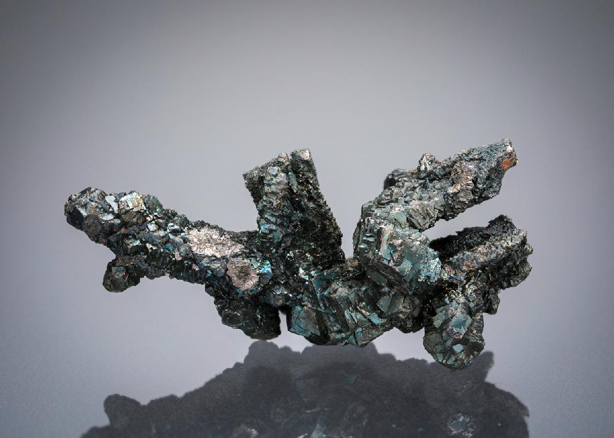 CC12989 specimen image